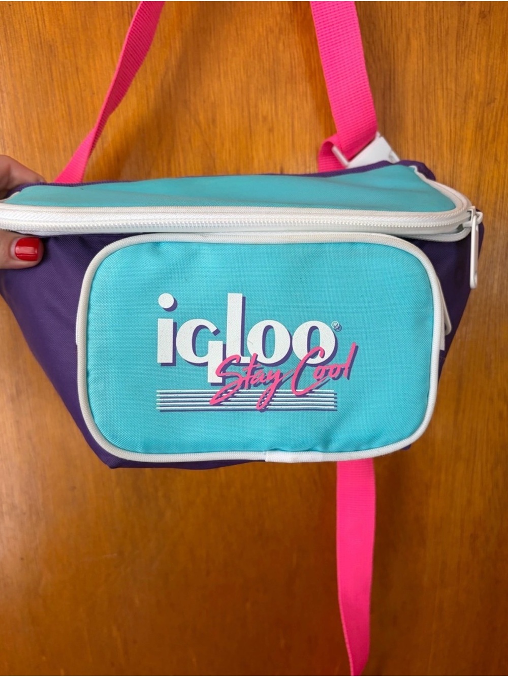 Igloo Teal & Purple Crossbody Fanny Pack with Pink Strap